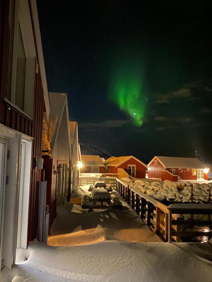 Rorbu i Lofoten Leknes Eksteriør billede