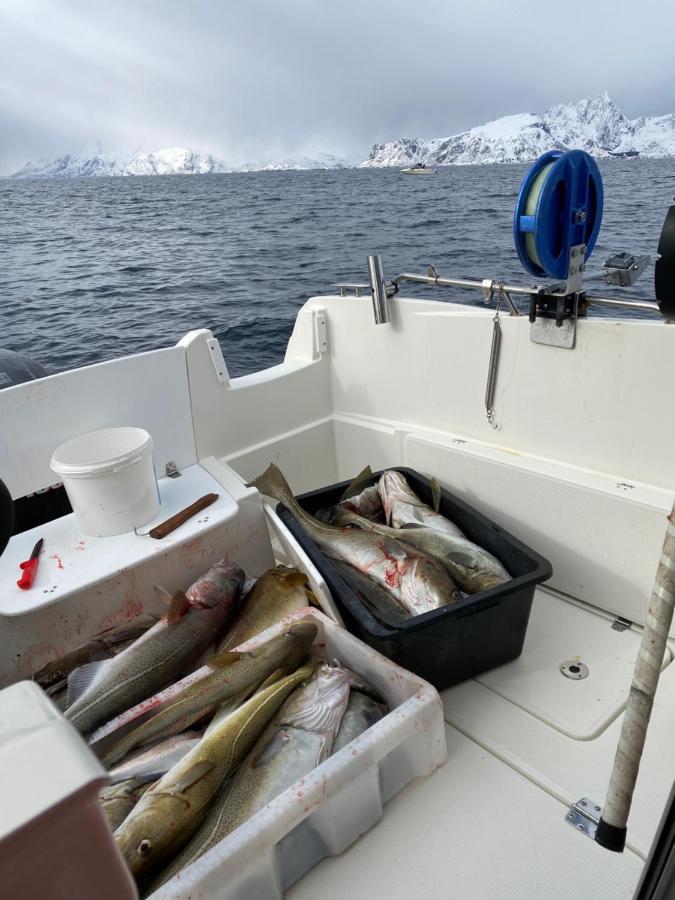 Rorbu i Lofoten Leknes Eksteriør billede