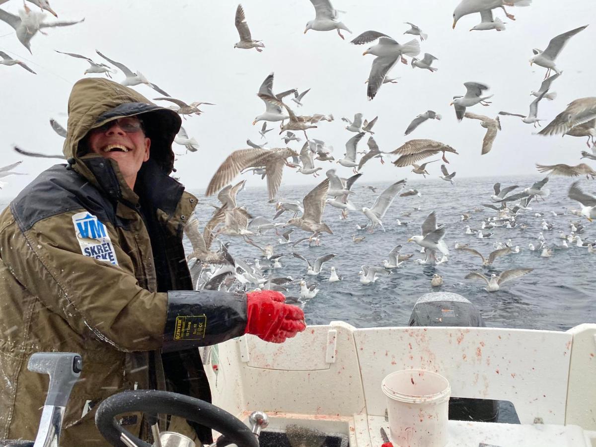 Rorbu i Lofoten Leknes Eksteriør billede