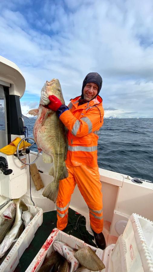 Rorbu i Lofoten Leknes Eksteriør billede